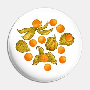 Physalis - Golden berries Pin