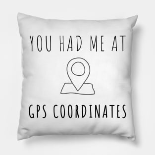 Surveyor - You had me at GPS coordinates Pillow