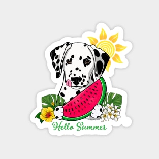 Dalmatian Hello Summer Magnet