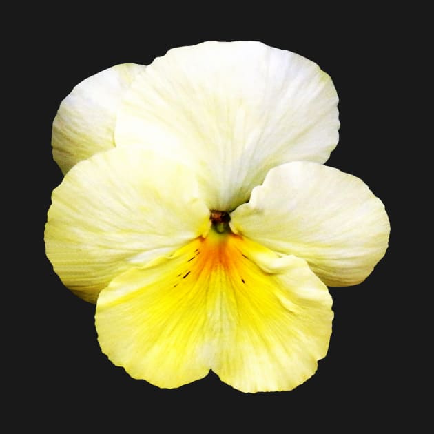 Light Yellow Pansy by SusanSavad