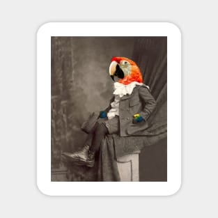 Sepia Copy of Macaw Boy Magnet