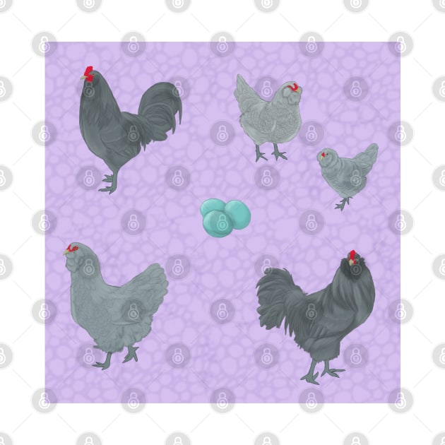 Blue Ameraucana Pattern Purple by TrapperWeasel