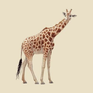 Giraffe T-Shirt