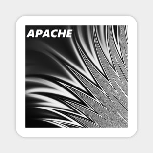 APACHE Magnet