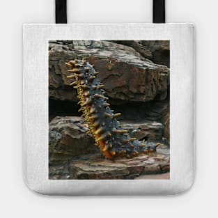 Rampant Trepang Sculpture. Vladivostok Oceanarium Tote