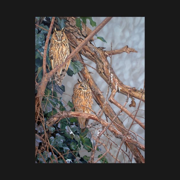 Long-eared Owls by kokayart