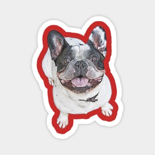 Pied French Bulldog Magnet