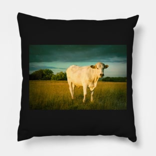 Bullock#13 Pillow