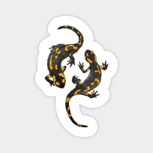 Two salamanders Magnet