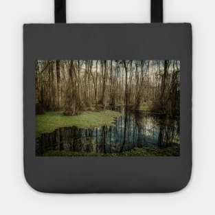 Swamp in Southeastern Georgia Tote