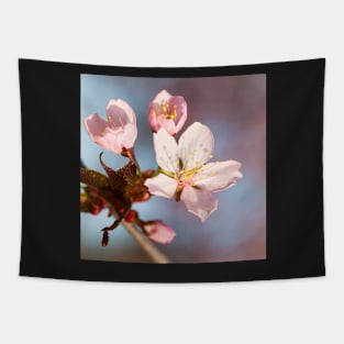 Cherry Blossom Tapestry