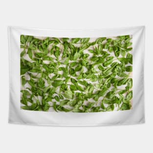 Fresh baby spinach Tapestry