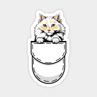 Funny Ragamuffin Pocket Cat Magnet