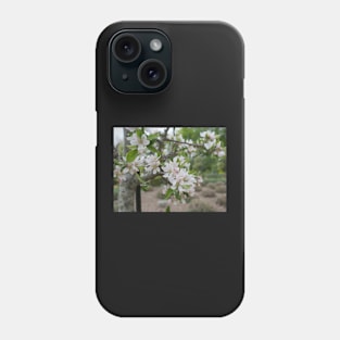 Cherry Blossom flowers white and pink Phone Case