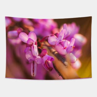 Shades of pink Tapestry