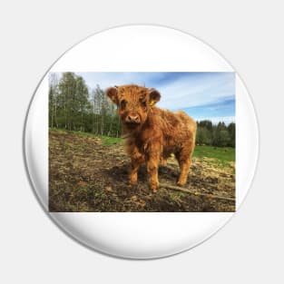 Scottish Highland Cattle Calf 2002 Pin