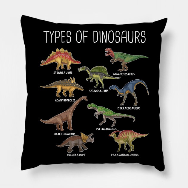 Kids Types Of Dinosaurs Dino Identification Gift Pillow by TeddyTees