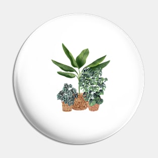 House Plants Illustration 11 Pin