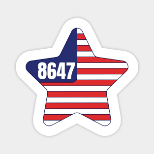 8647 Magnet