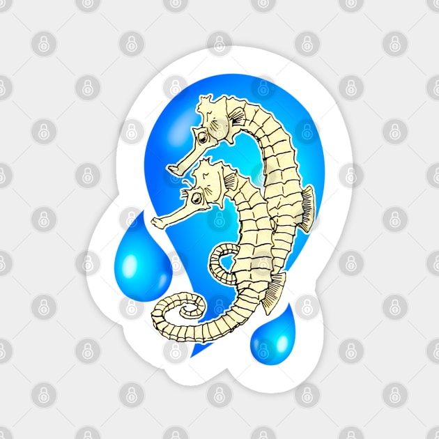 Yellow seahorse Magnet by Marccelus