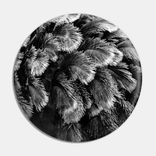 Ostrich Feathers Pin