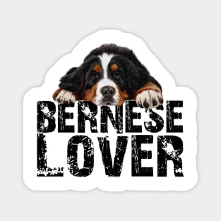 Bernese mountain dog Magnet