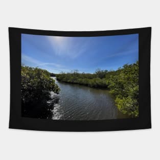 Sparkling Florida Waterway at Robinson Preserve Tapestry