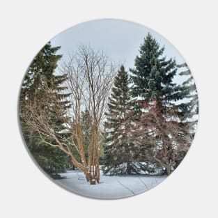 Alberta Winter 03 Pin