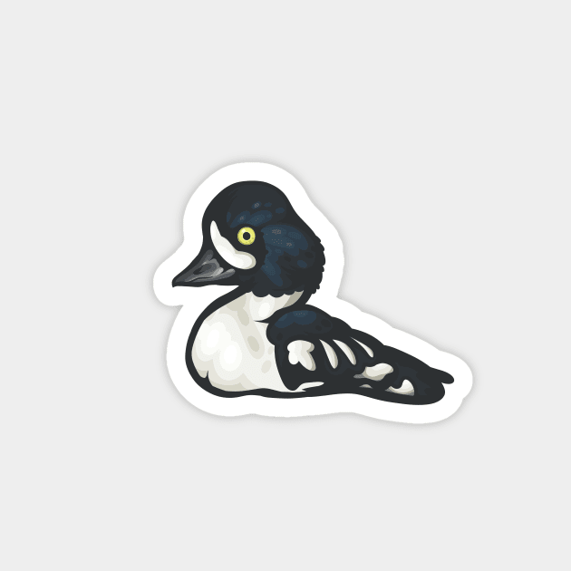 Barrow's Goldeneye Magnet by Ginboy