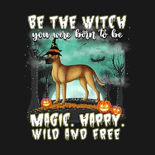 Be The Witch Great Dane Dog Halloween T-Shirt