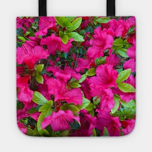 Pink Azaleas Tote