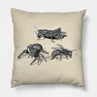 insects illustration, bee, spider and grasshopper Pillow