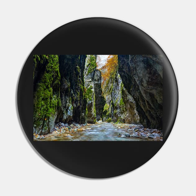 River in limestone canyon Pin by naturalis