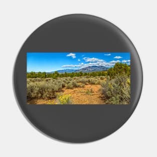 Kit Carson National Forest Pin