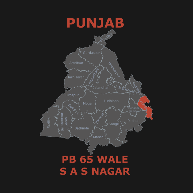 Punjab 65 SAS NAGAR by Lazy Dad Creations