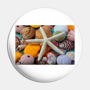 White Starfish On Colorful Seashells Pin