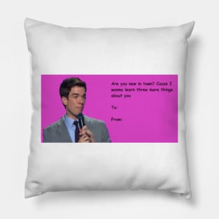 Copy of Hey Can I Walk You Home Valentine Pillow