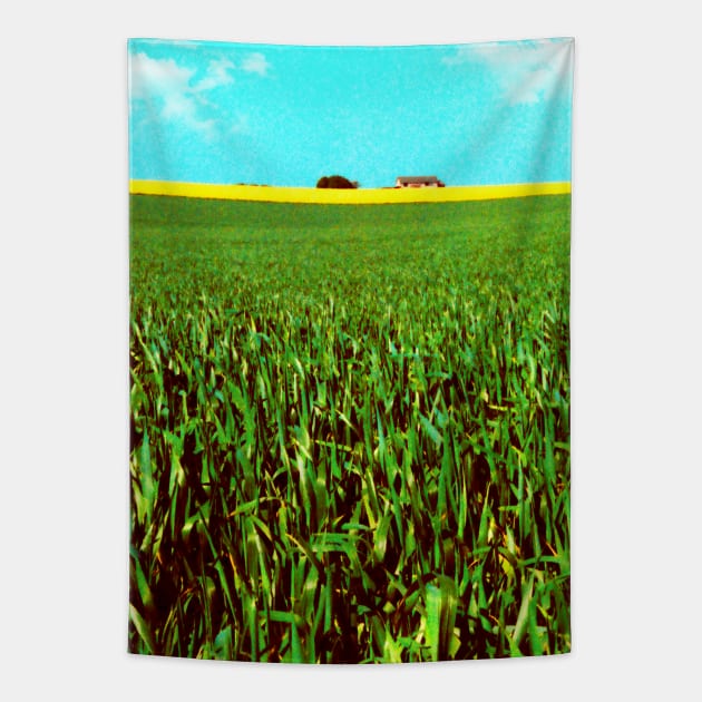 Oil Seed Prairie Tapestry by JonDelorme