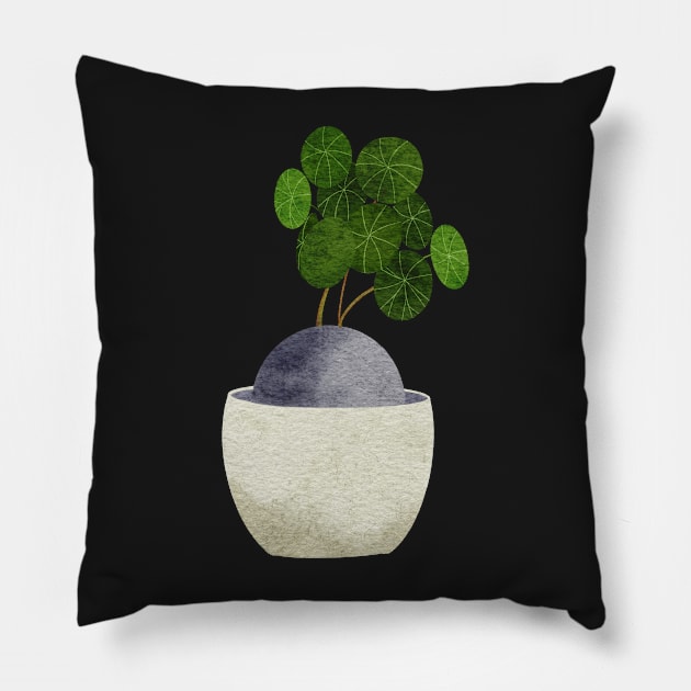 Stephania erecta Pillow by gronly