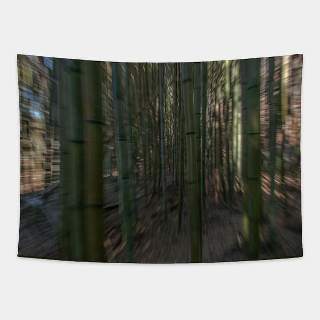 Escape the Bamboo Tapestry by Ckauzmann