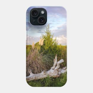 Dunes driftwood sunset Phone Case