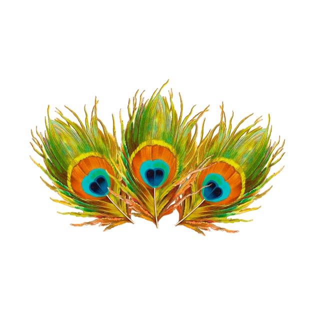 Peacock Feathers by Sailfaster Designs