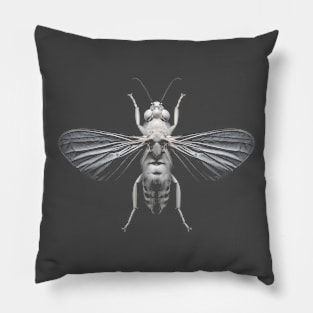 Pale Fly Pillow