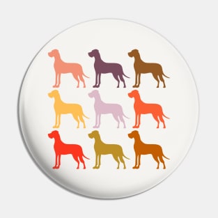 Great Dane Dogs in Rainbow Colors Pin