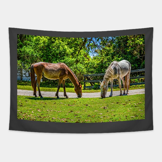 Wild Horses at Cumberland Island National Seashore Tapestry by Gestalt Imagery