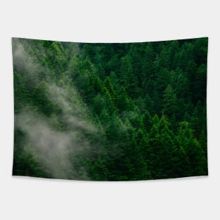 Beauty Forest View Tapestry