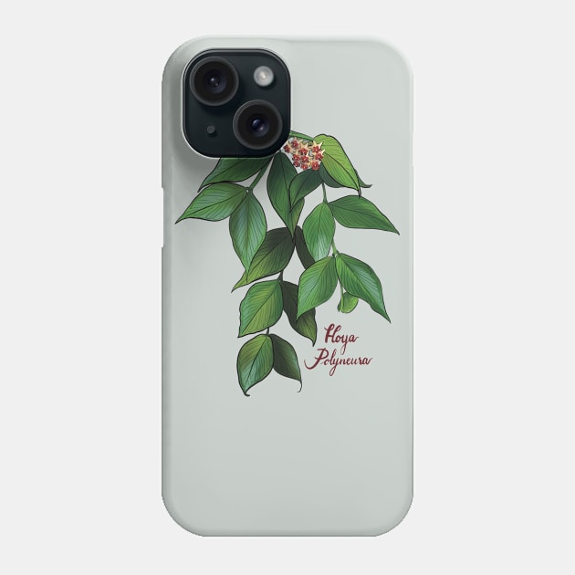 Hoya polyneura in bloom Phone Case by Wieskunde