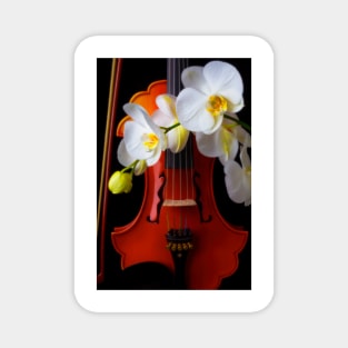 White Orchids And Baroque Violin Magnet