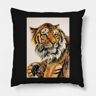 Tiger Pillow