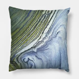 Petrified Wood Pillow